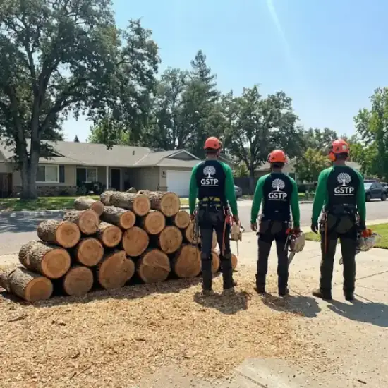 Freshly cut oak logs from a Oklahoma City tree removal