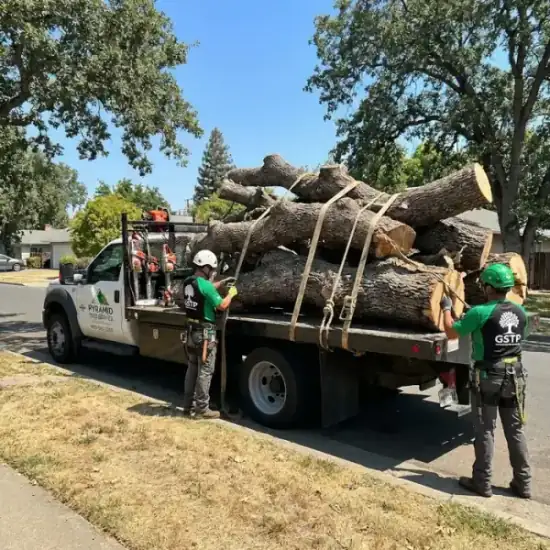 Tree service truck loaded with branches after a Oklahoma City job